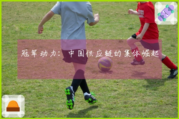 冠军动力：中国供应链的集体崛起
