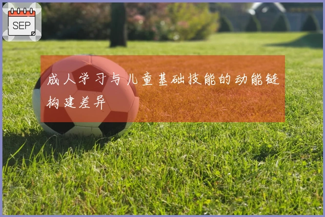 成人学习与儿童基础技能的动能链构建差异