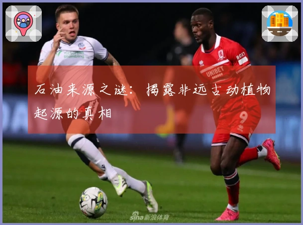 石油来源之谜：揭露非远古动植物起源的真相
