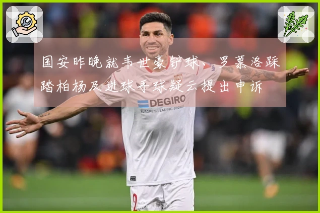 国安昨晚就韦世豪铲球、罗慕洛踩踏柏杨及进球手球疑云提出申诉